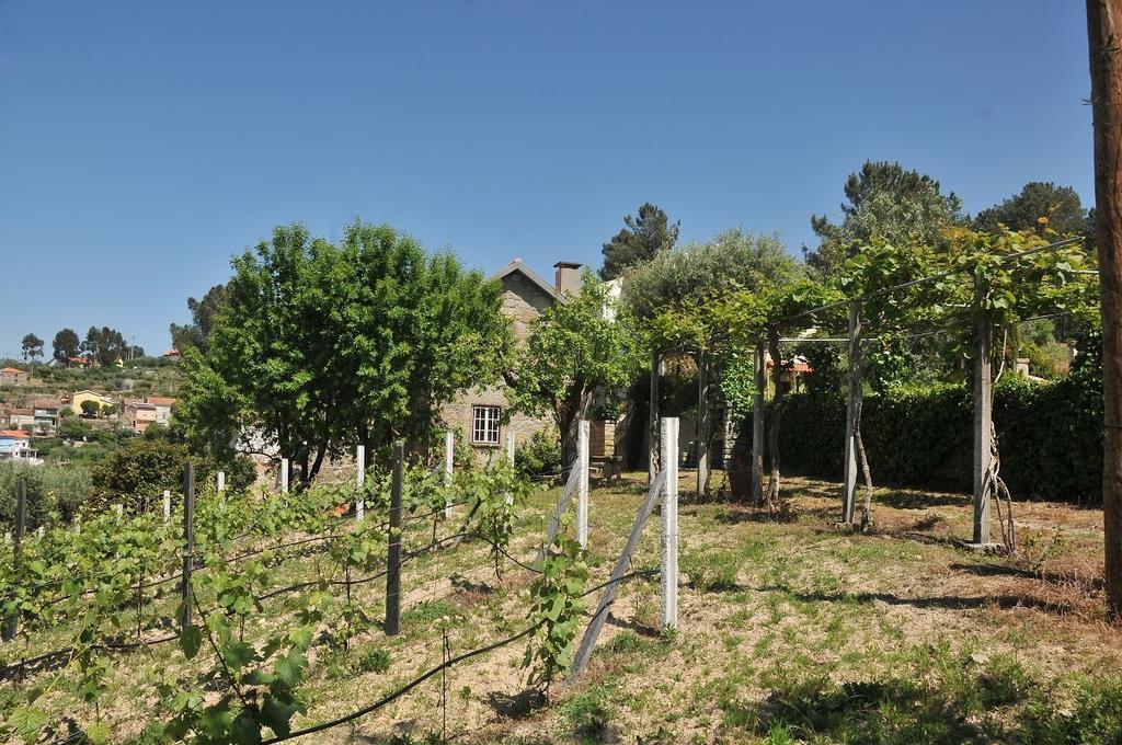Villa Quinta Do Vale Sanguinho Seia Exterior foto